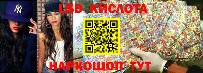 бошки Кингисепп