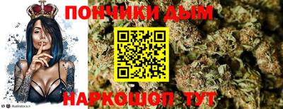 бошки Кингисепп