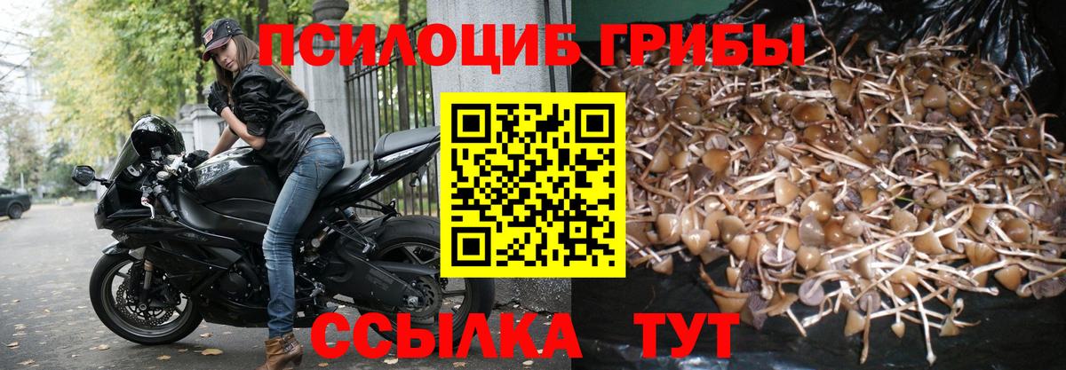 Псилоцибиновые грибы Psilocybine cubensis  Вход с VPN  Коряжма 