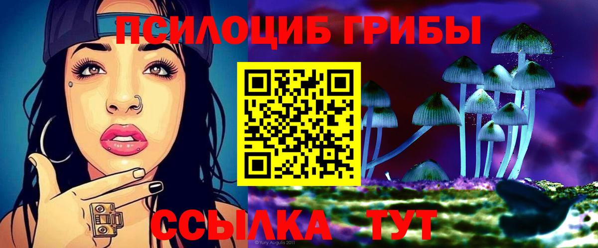 Псилоцибиновые грибы прущие грибы Коряжма